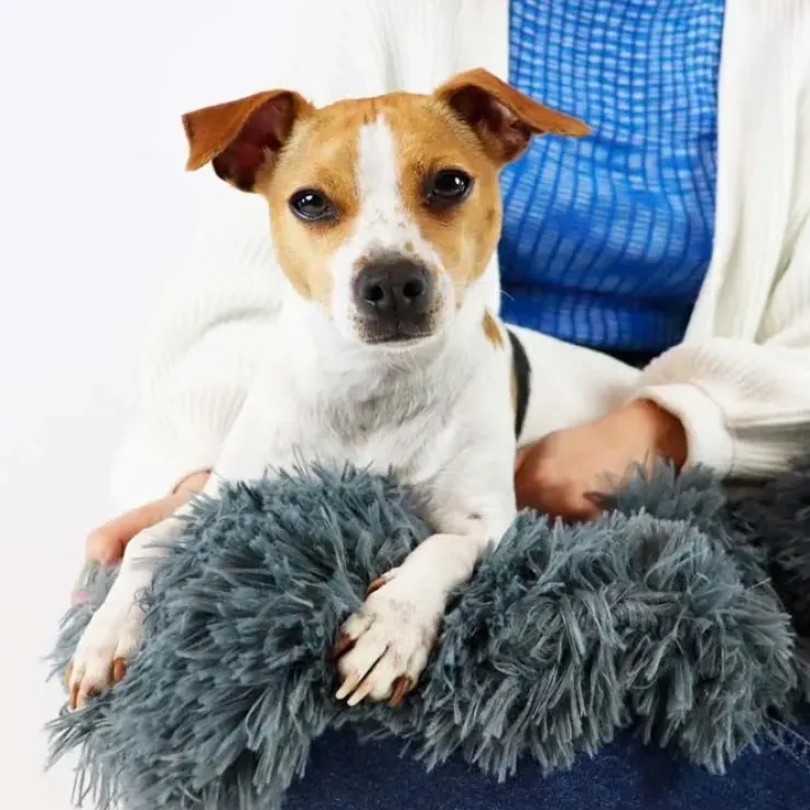 Ollipet Soft Cloud hundetæppe