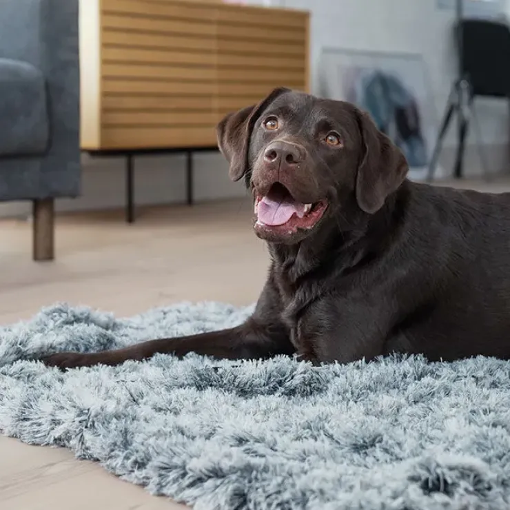 Ollipet Soft Cloud hundetæppe