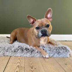 Ollipet Soft Cloud hundetæppe
