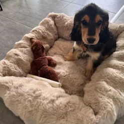 Ollipet Soft wave Lounge hundekurv