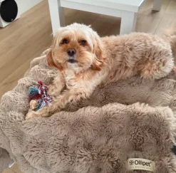 Ollipet Soft Wave Luksus Tæppe | Khaki