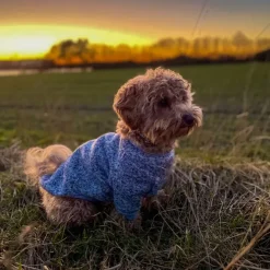 Ollipet Softy Hundetrøje | OUTLET