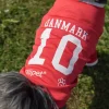 Ollipet Sports T-Shirt