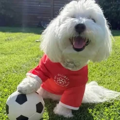 Ollipet Sports T-Shirt