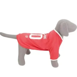 Ollipet Sports T-Shirt