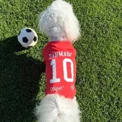 Ollipet Sports T-Shirt