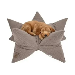 Ollipet StarNest Hundeseng | Fløjl