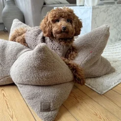 Ollipet StarNest Hundeseng | Teddy