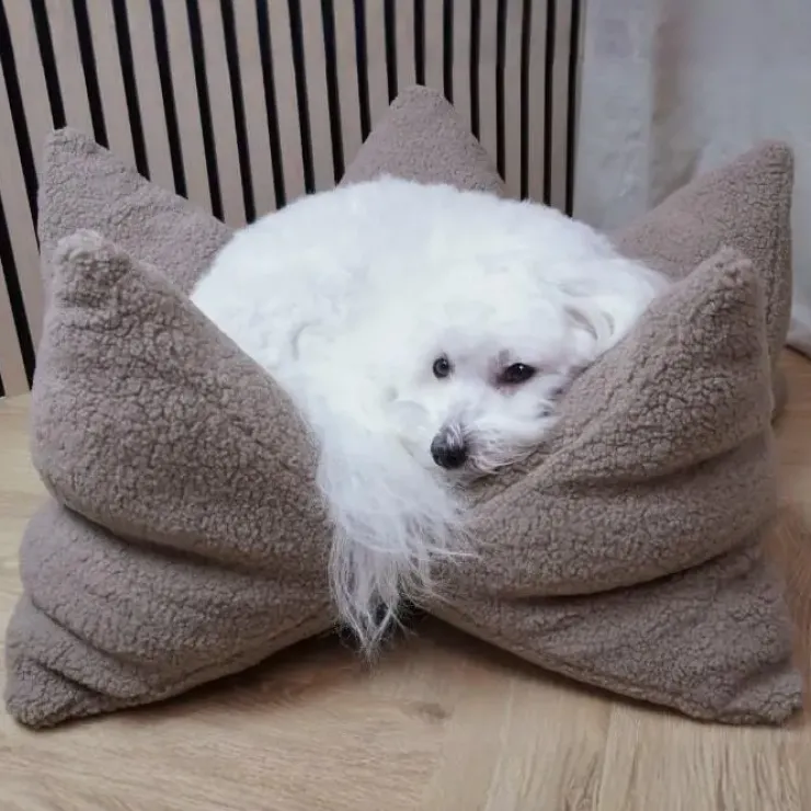 Ollipet StarNest Hundeseng | Teddy