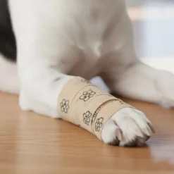 Ollipet Super Flex | Selvklæbende bandage 1 stk