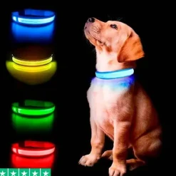 Ollipet The Stripe LED Collar | Halsbånd med lys