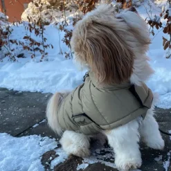 Ollipet Thunder Bay Dynejakke | OUTLET