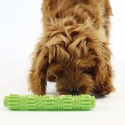 Ollipet Toothbrush Tube| 2 størrelser