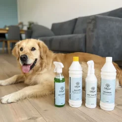 Ollipet Tæpperens 1L