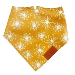 Ollipet Trendy Bandana