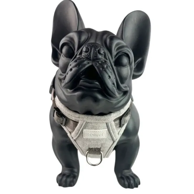 Ollipet Tweed H-sele | Coffee