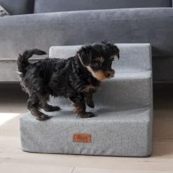 Ollipet Up Stairs | Hundetrappe