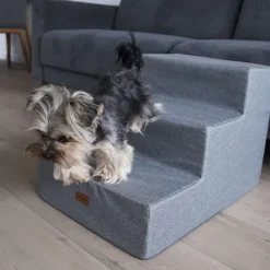 Ollipet Up Stairs | Hundetrappe