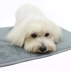 Ollipet Vandabsorberende Memoryfoam bademåtte