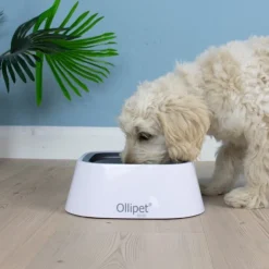 Ollipet Vandskål | Anti Spild