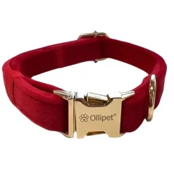 Ollipet Velour justerbar halsbånd | M. Guldspænde