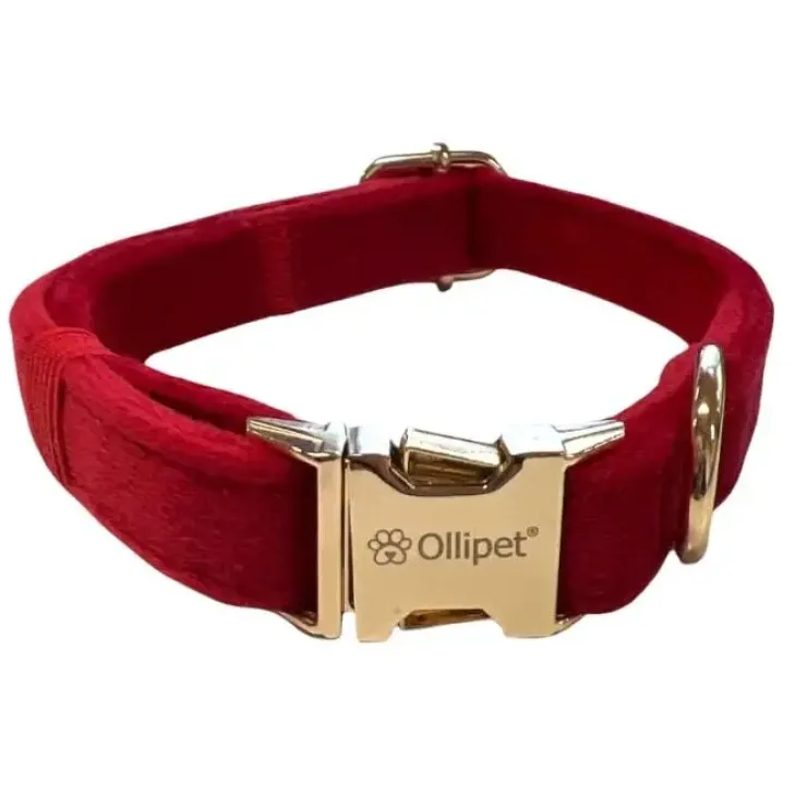 Ollipet Velour justerbar halsbånd | M. Guldspænde