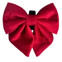 Ollipet Velour Sløjfe