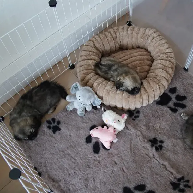 Ollipet VetBedding tæpper i Luxdesign | Kraftig kvalitet