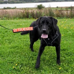 Ollipet VI TRÆNER Mærkat