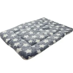 Ollipet Wellness Madras