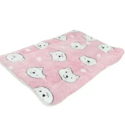 Ollipet Wellness Madras