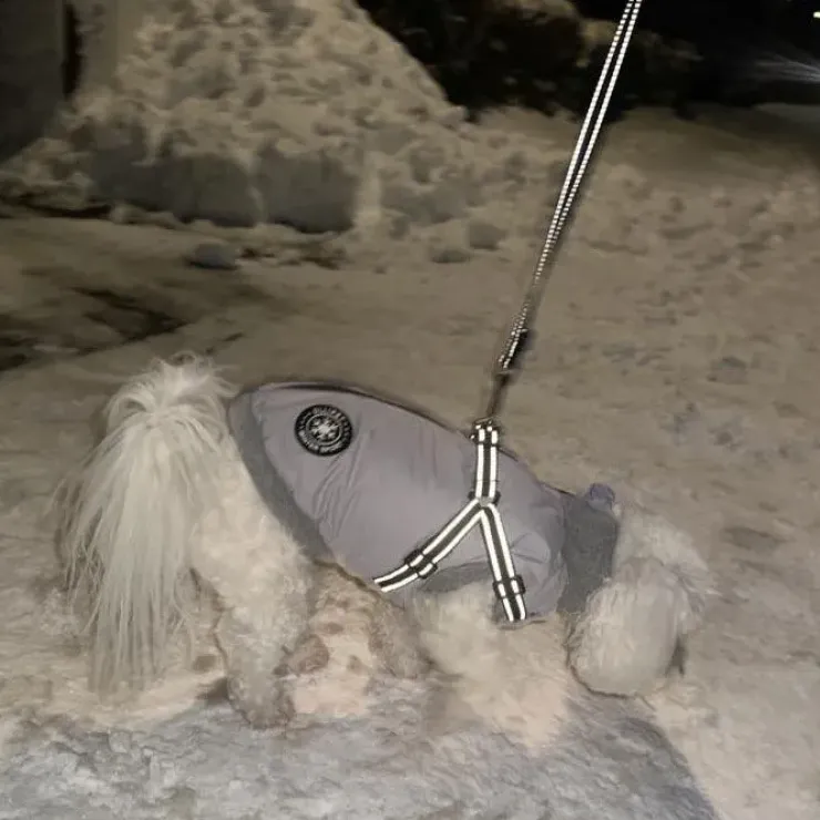 Ollipet Winter Sport | Jakke med sele og lynlås