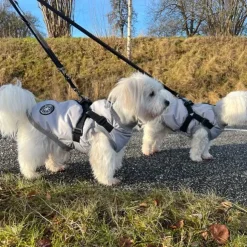 Ollipet Winter Sport | Jakke med sele og lynlås