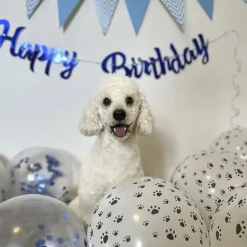 Ollipet WOOF Party Pakke
