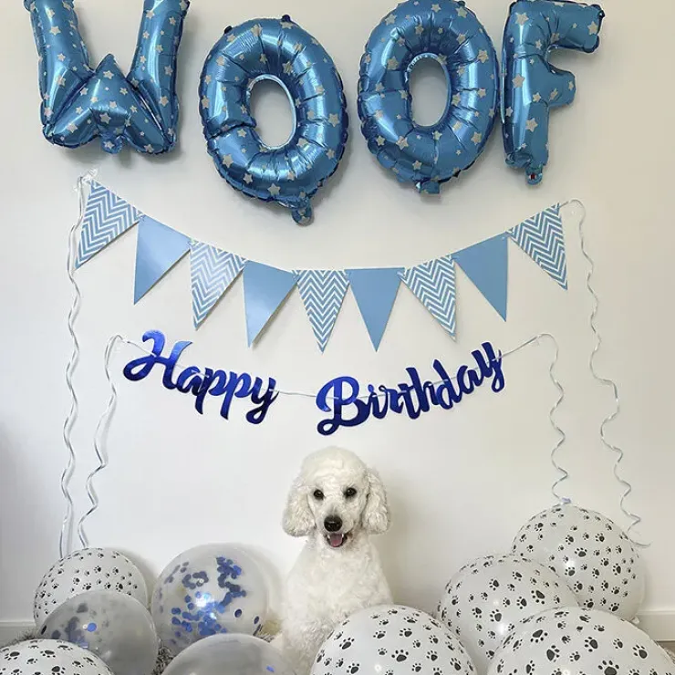 Ollipet WOOF Party Pakke