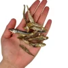 Ozami Dog Snack Dried Smelt | 50g