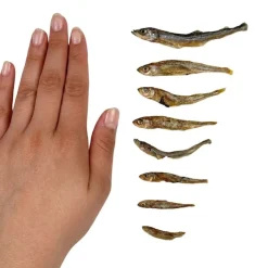 Ozami Dog Snack Dried Smelt | 50g