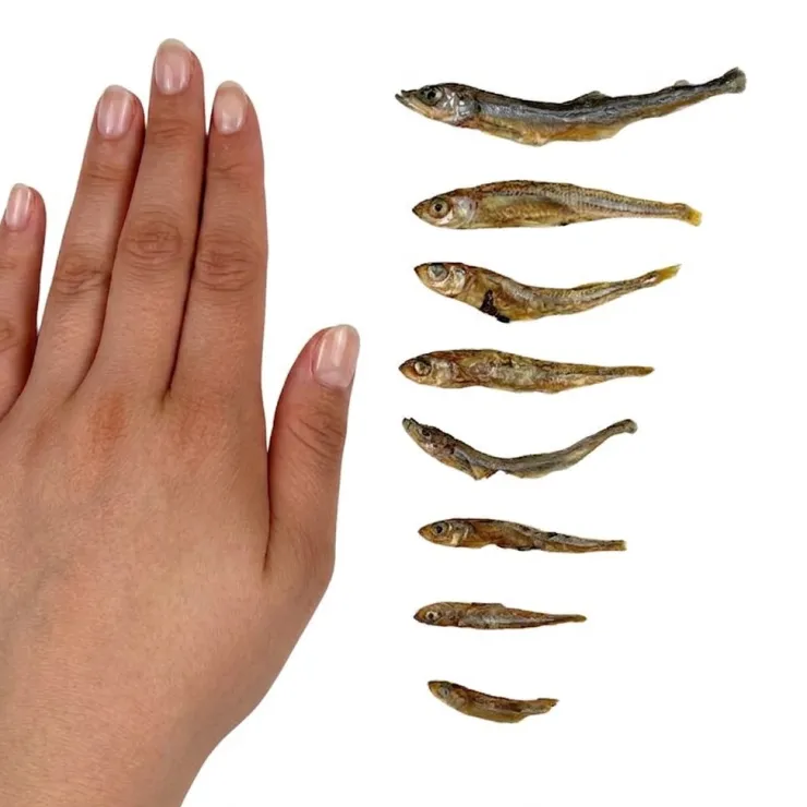 Ozami Dog Snack Dried Smelt | 50g