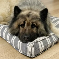 Ozami stribet Hundemadras