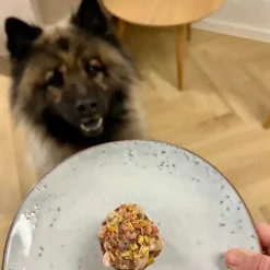 Pakketilbud | Bag-selv Hundekage