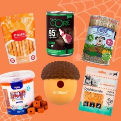 Pakketilbud | Halloweenpakke