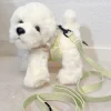 Pakketilbud | Ollie m. Sele og Hundesnor