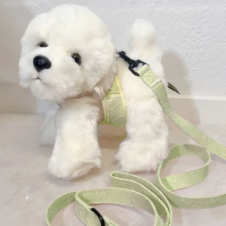 Pakketilbud | Ollie m. Sele og Hundesnor