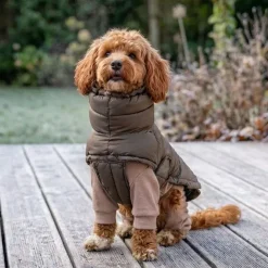 Pakketilbud | Ollipet Alpine Explorer og Ollipet Cozy Warmer