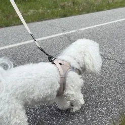Pakketilbud | Ollipet For Wagging tails sele og snor