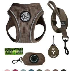 Pakketilbud | Ollipet For Wagging tails sele og snor