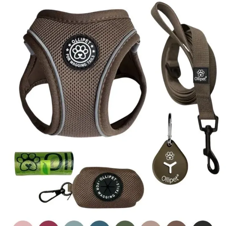 Pakketilbud | Ollipet For Wagging tails sele og snor