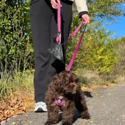 Pakketilbud | Ollipet For Wagging tails sele og snor