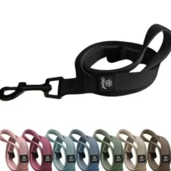Pakketilbud | Ollipet For Wagging tails sele og snor