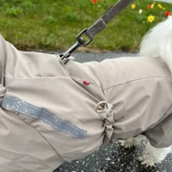 Pakketilbud | Ollipet Poncho m. snor